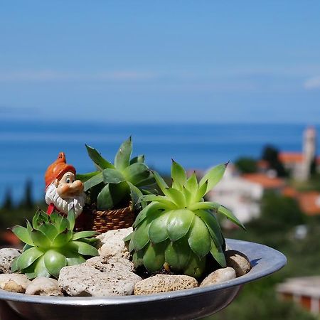 Apartments Mateljak グラダツ エクステリア 写真