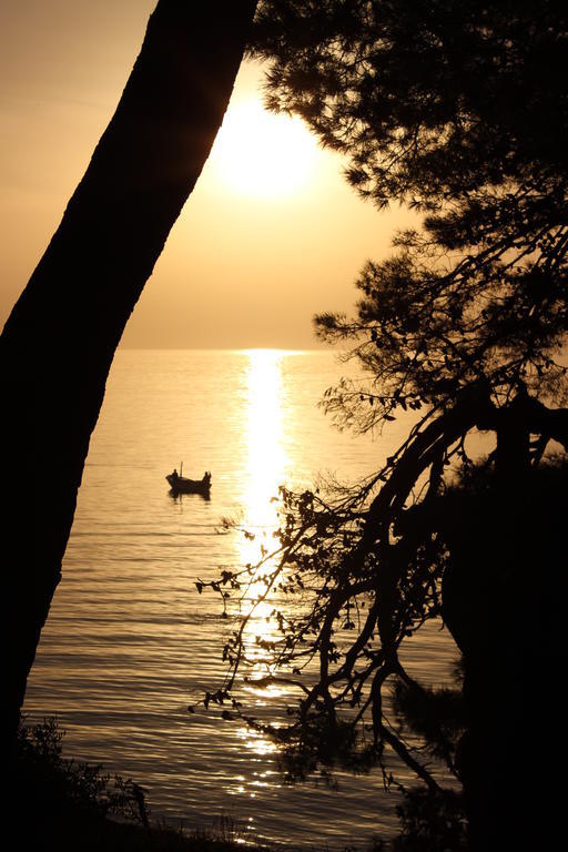 Apartments Mateljak グラダツ エクステリア 写真